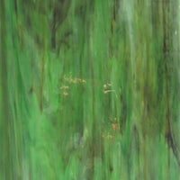 Glasplatte Tarnung Zart