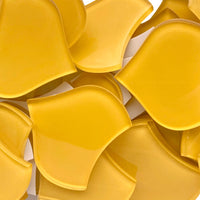 Large Fischcale Corn