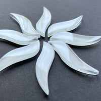 Golvende Bloemblaadjes Sneeuwwit