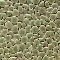 Verre Mosaique - glass mosaic -Glasmosaik-glasmozaïek-Charms Mini Groen - mosaicshop