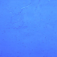 Glasplatte Himmelblau