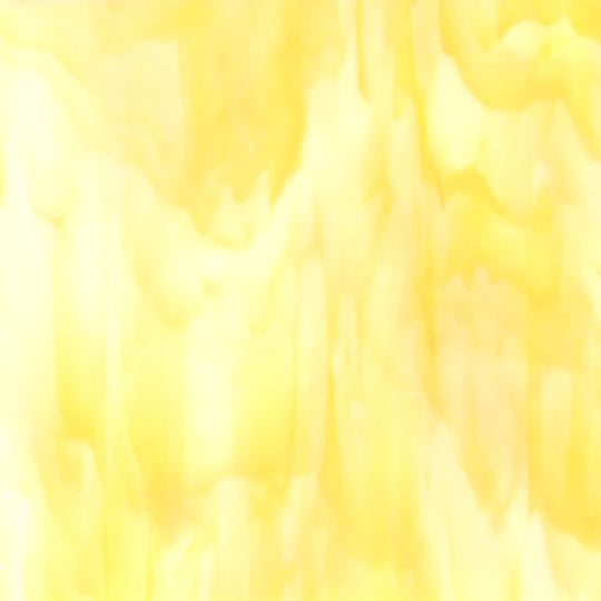 Glass Plate Buttercup