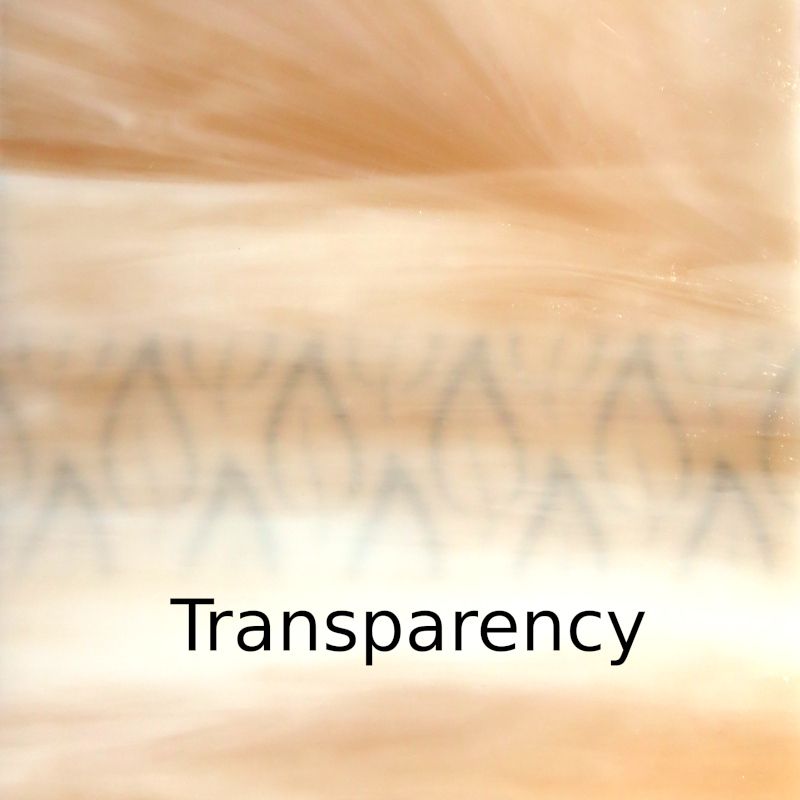 Glasplatte Koralle Zart