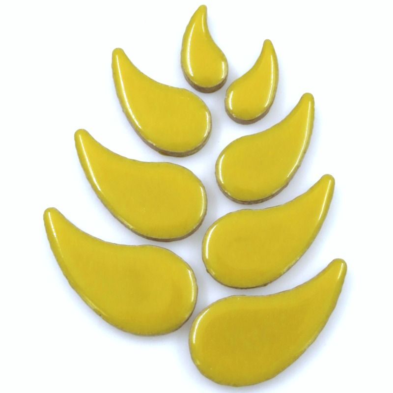 Regendruppel Citroen