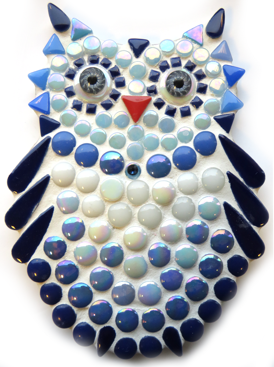 Little Owl Blue