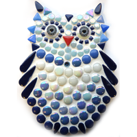Little Owl Blue