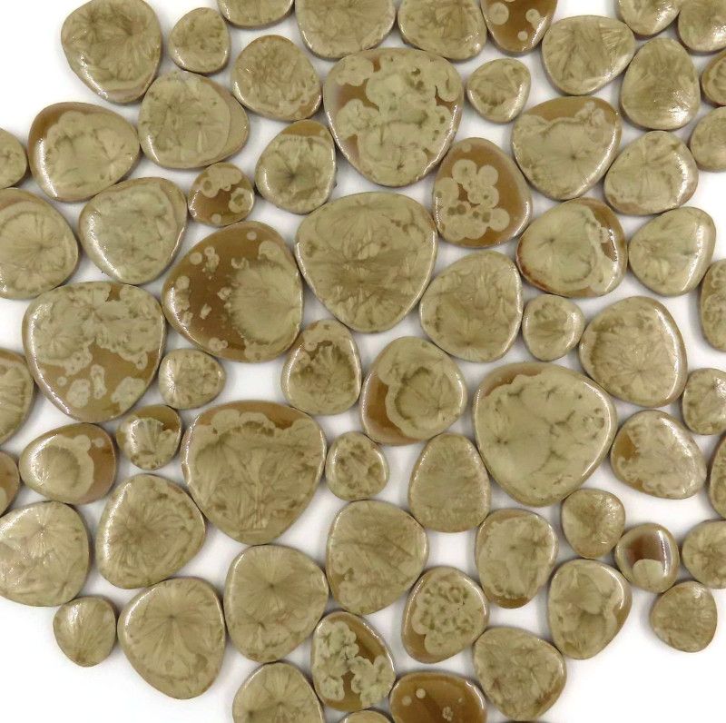 Pebbles Fossil (Loose)