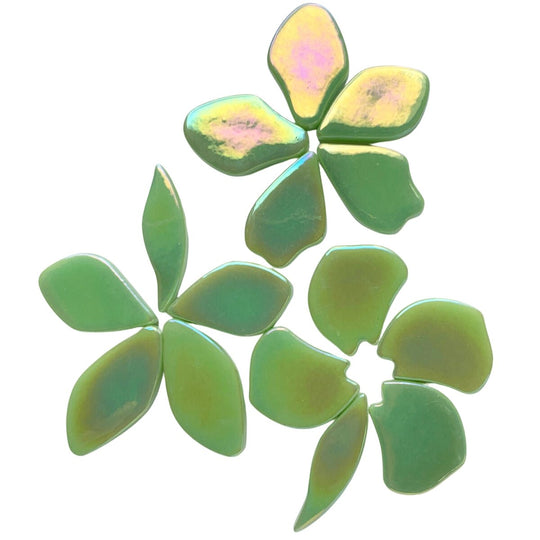 Gefallene Blütenblätter Perle  Mintgrün 