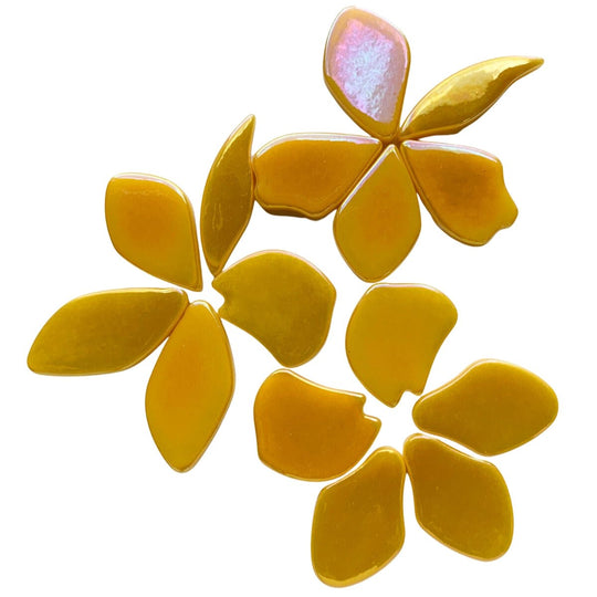 Gefallene Blütenblätter Perle  Warmes Gelb