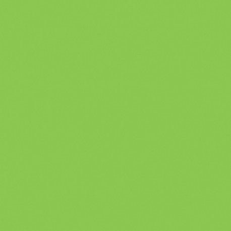 Mosa-17900 Macaw Green 15cm