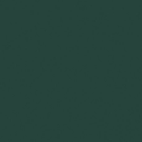 Mosa-20900 Thymian 15cm